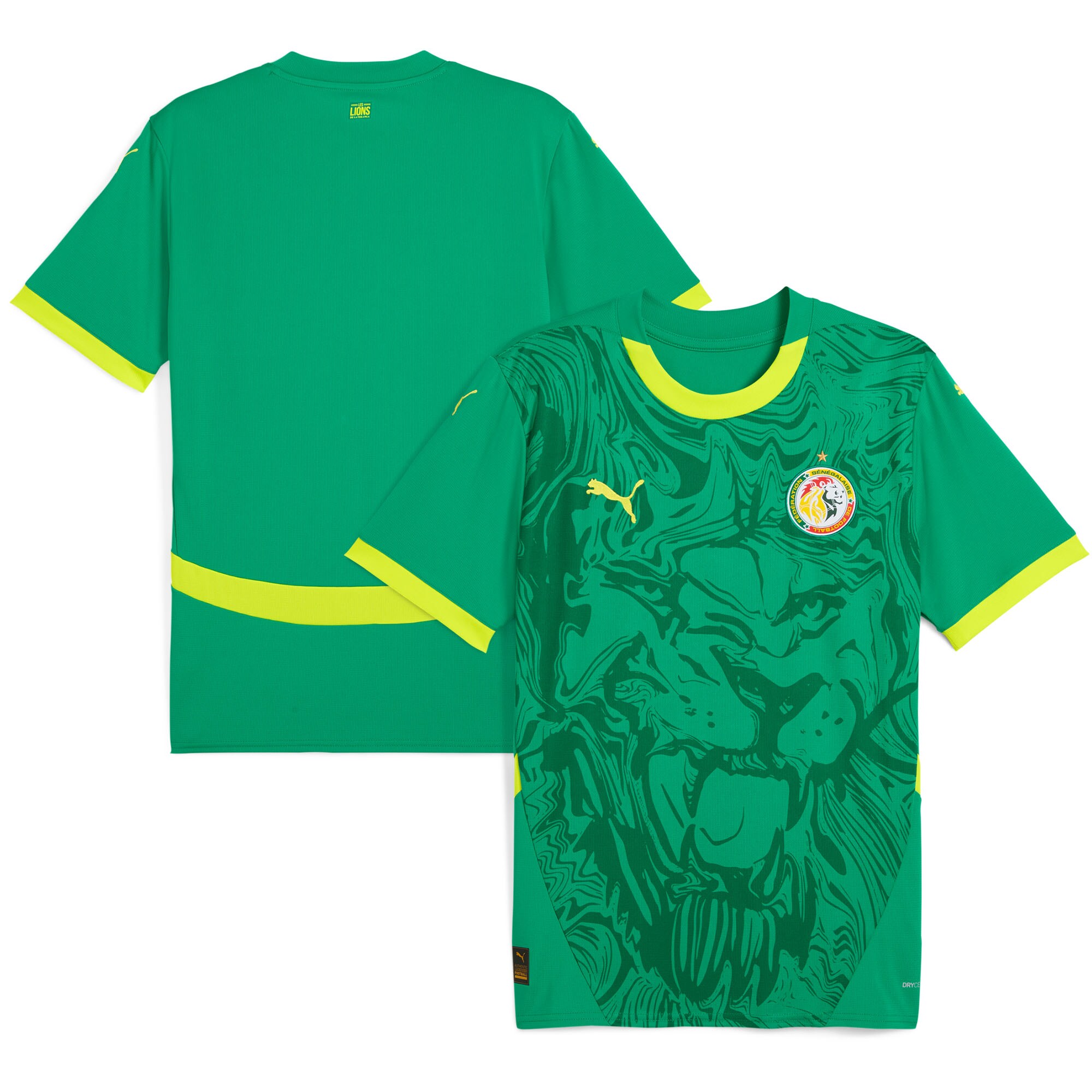Senegal National Team Puma 2025 Away Replica Jersey - Green